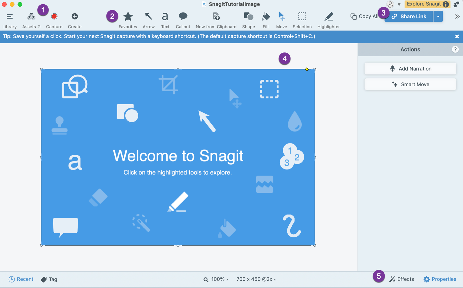 Snagit Editor Window